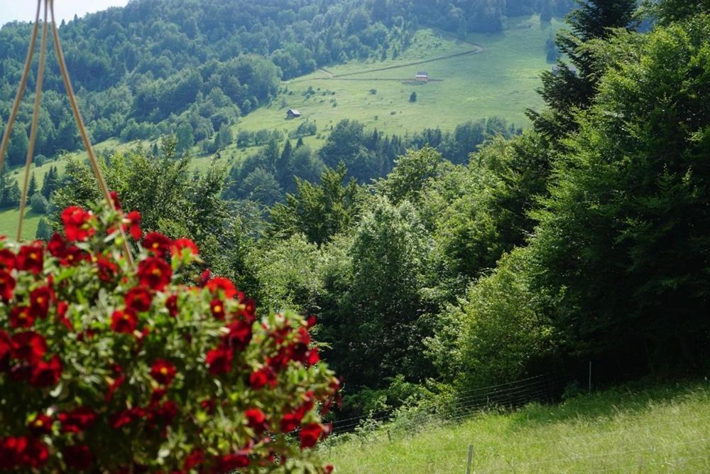 Gorczanskie Siedlisko Ochotnica Gorna Exterior photo